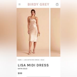 Birdy Grey Lisa Midi Dress size XS, Gold, NWT